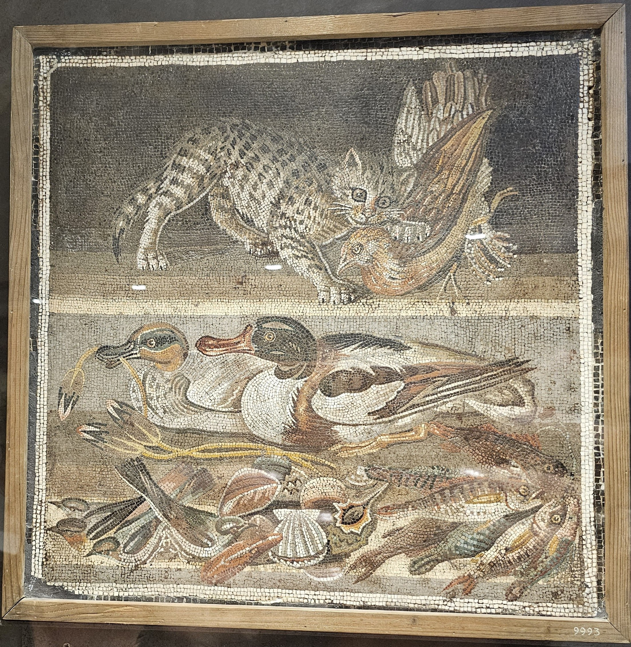 Pompei